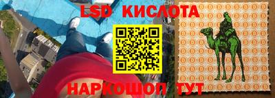 винт Кингисепп