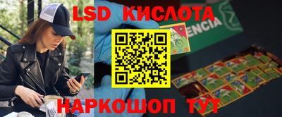 тгк Кимры