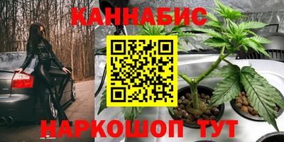 винт Кингисепп