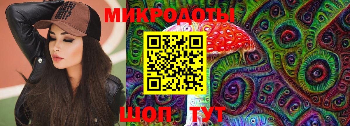 Псилоцибиновые грибы Psilocybe Котельники